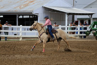 17 SHIPLEY