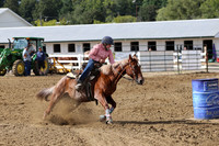 18 SHIPLEY
