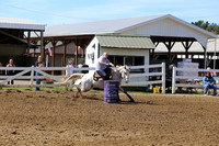 5 - Young Horse Race #1