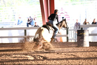 16-20 CHESTNUT RUMBLE GRENGA FOX MERRIMAN