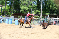 Breakaway