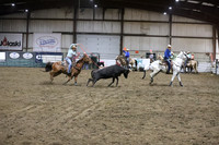 5 - WOMANS TEAM ROPING