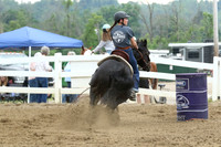 29 DAILEY