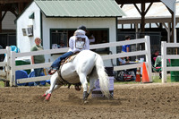 1-5 RADLEY BERTRAM SHULTS WALSH HULA
