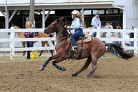36 SHIPLEY