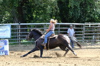 52 TRIADO