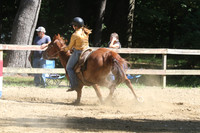 41 DELLENA