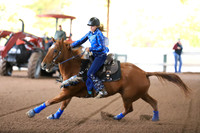 33-36 HAYS LINDSTROM STANNARD SCHUMACHER
