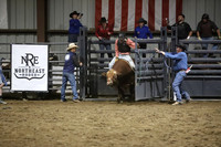 1 - Bull Riding
