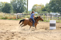 26 SHEEHY